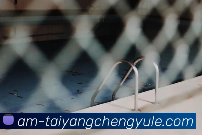 多媒体互动体验